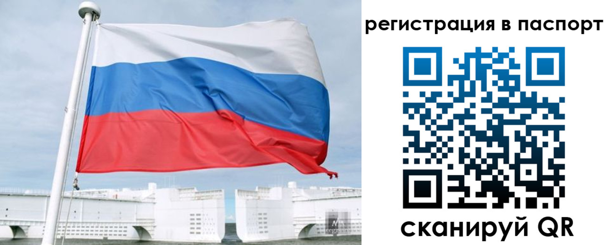 регистрация в Кольчугино