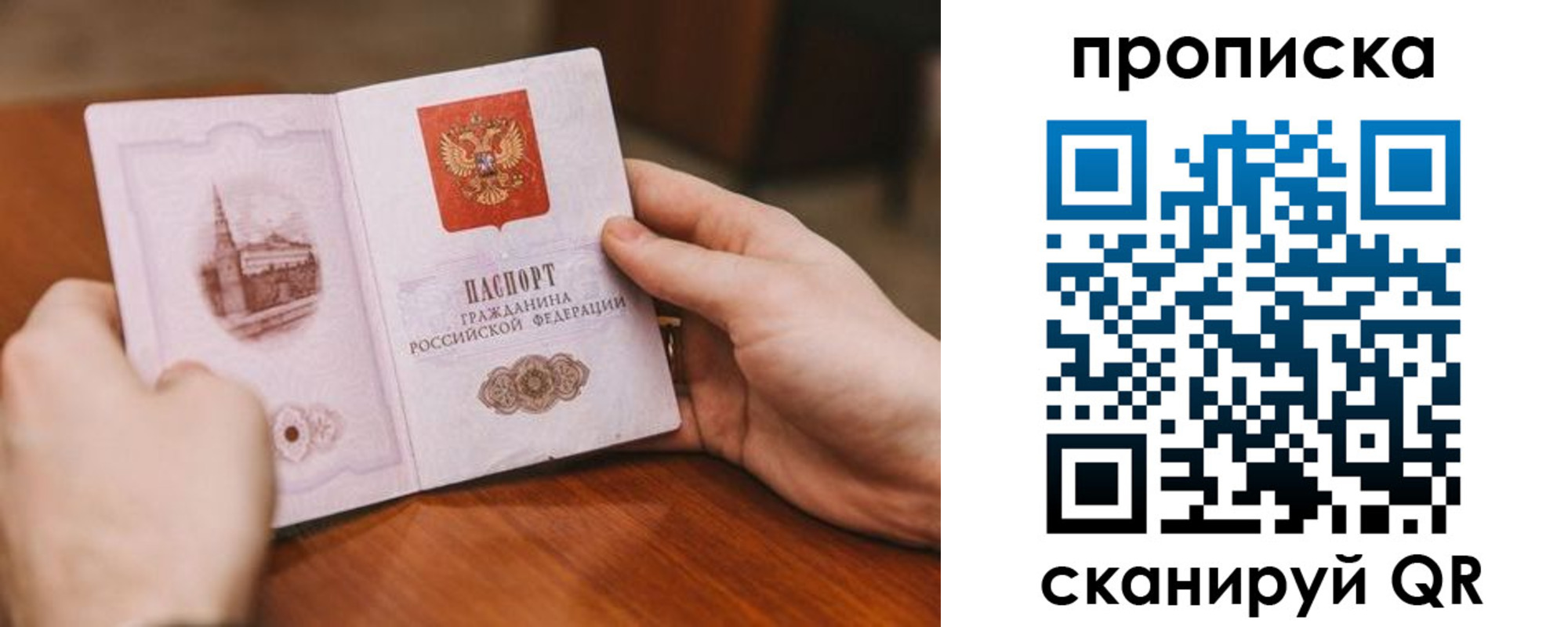 прописка в квартире в Кольчугино